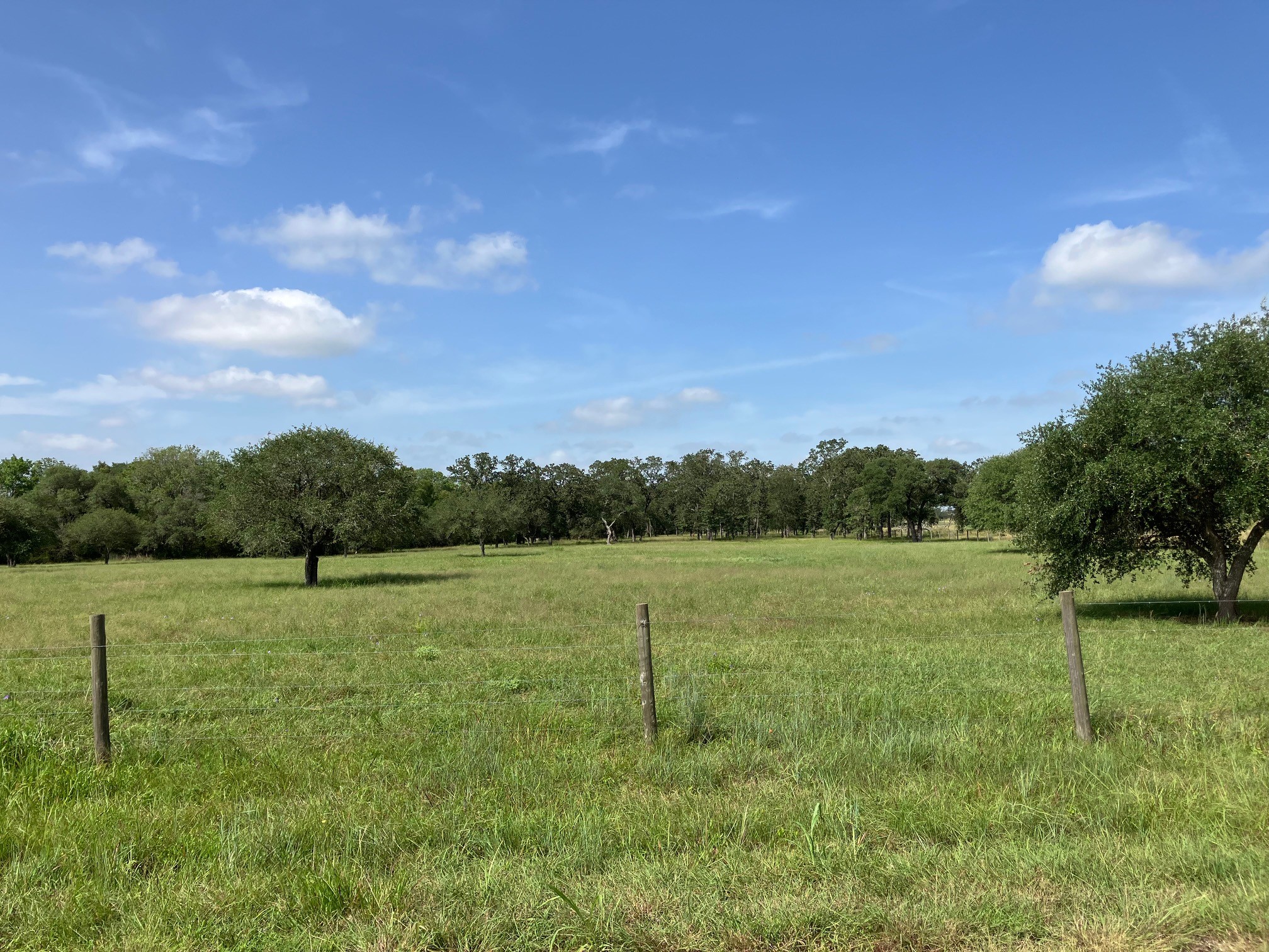 6800 Waldeck Cemetery Road Round Top, TX 78954 - Photo 2 of 8 a view of an outdoor space and a yard