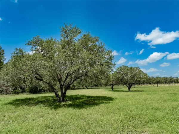 a view of yard with green space