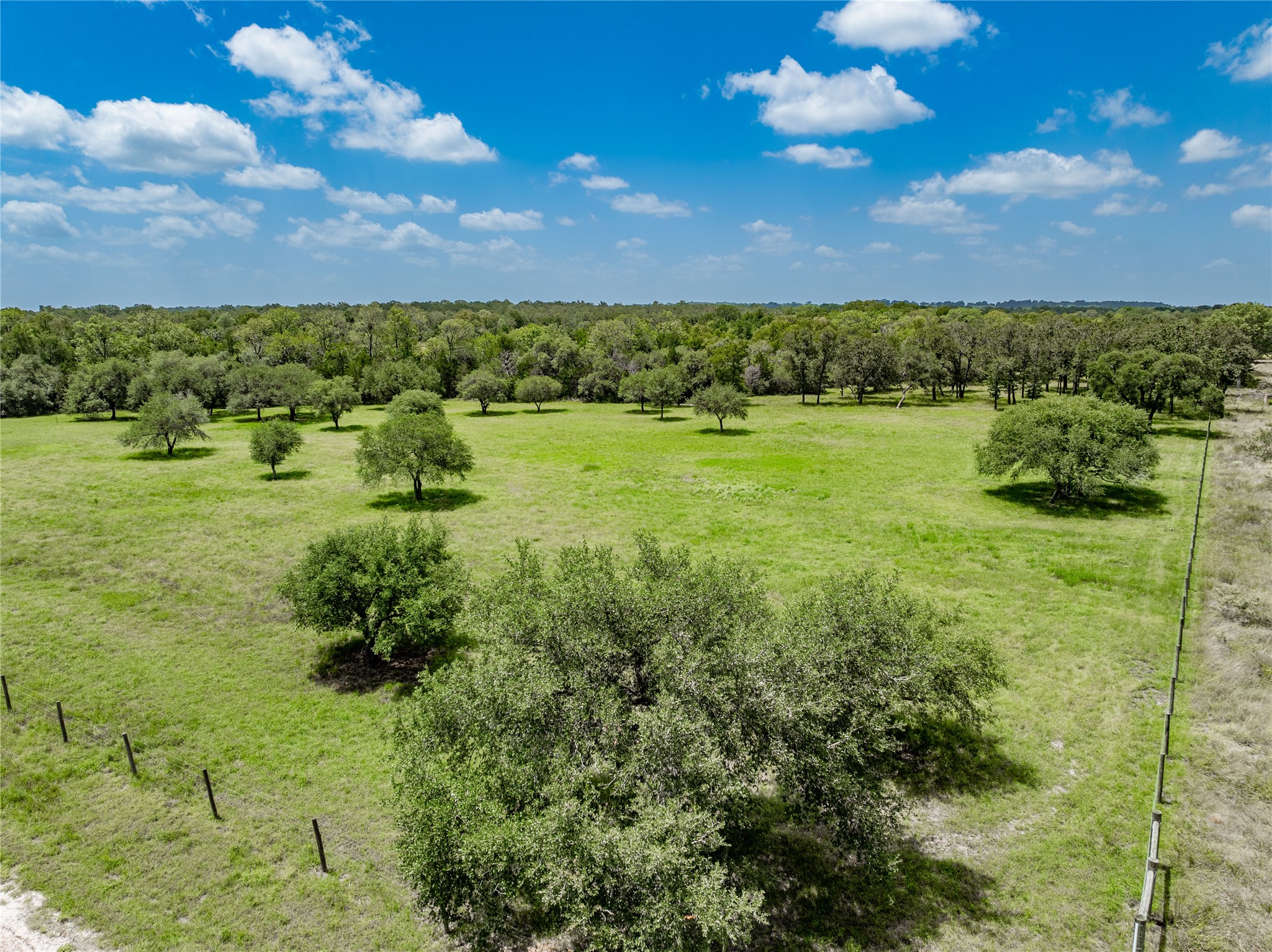 6800 Waldeck Cemetery Road Round Top, TX 78954 - Photo 5 of 8 a view of a garden