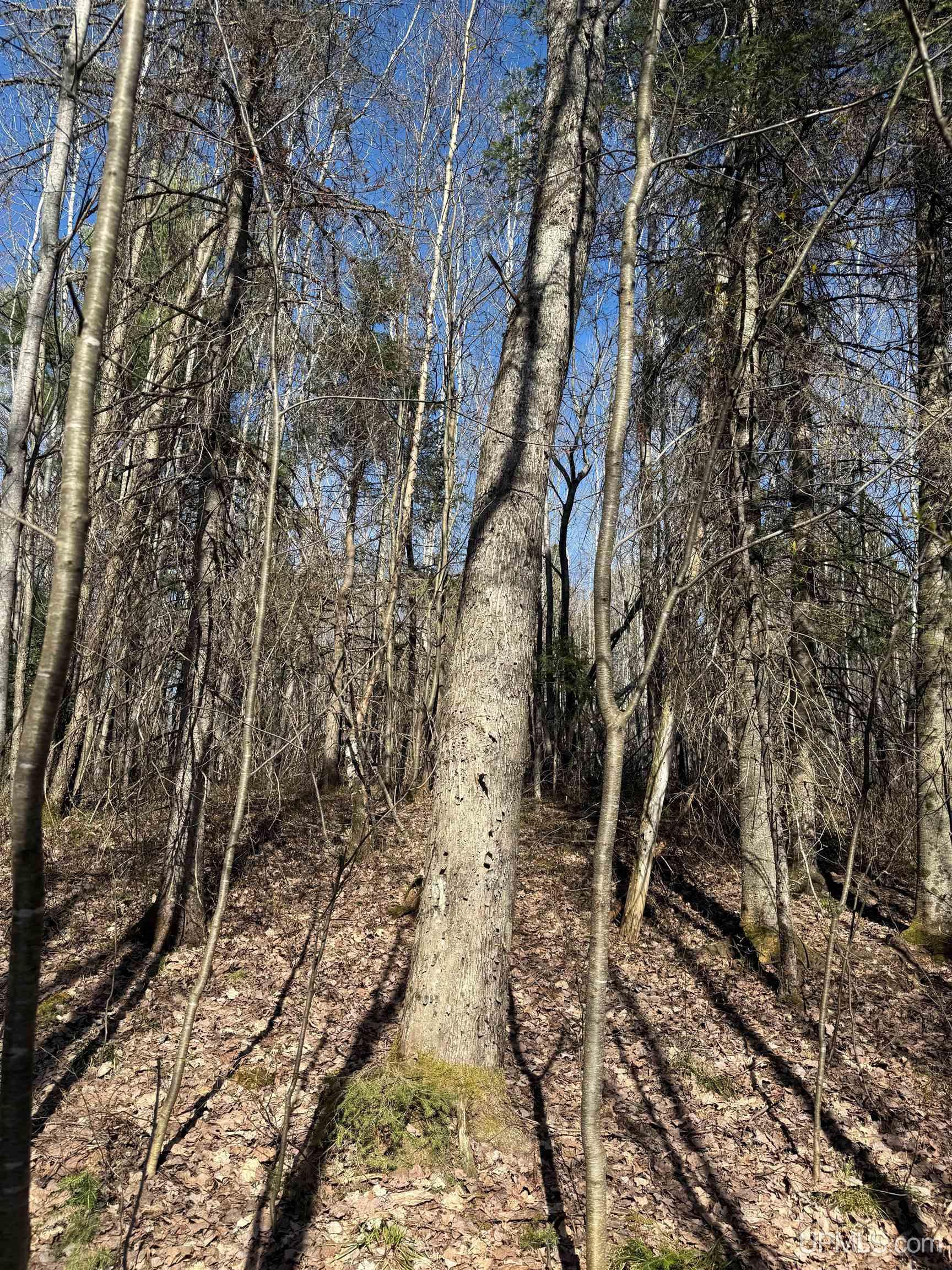 Tbd85 South Sidnaw Road Sidnaw, MI 49961 - Photo 11 of 22