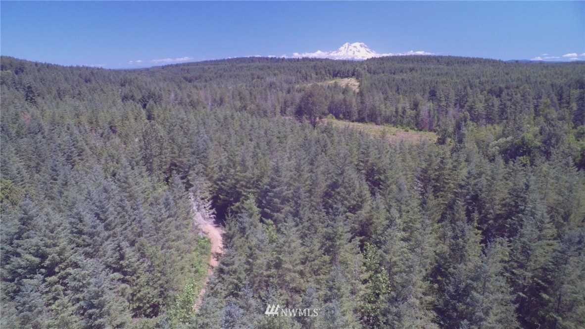39601 Tanwax Road South Roy, WA 98580 - Photo 12 of 15