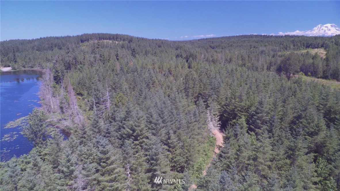 39601 Tanwax Road South Roy, WA 98580 - Photo 13 of 15