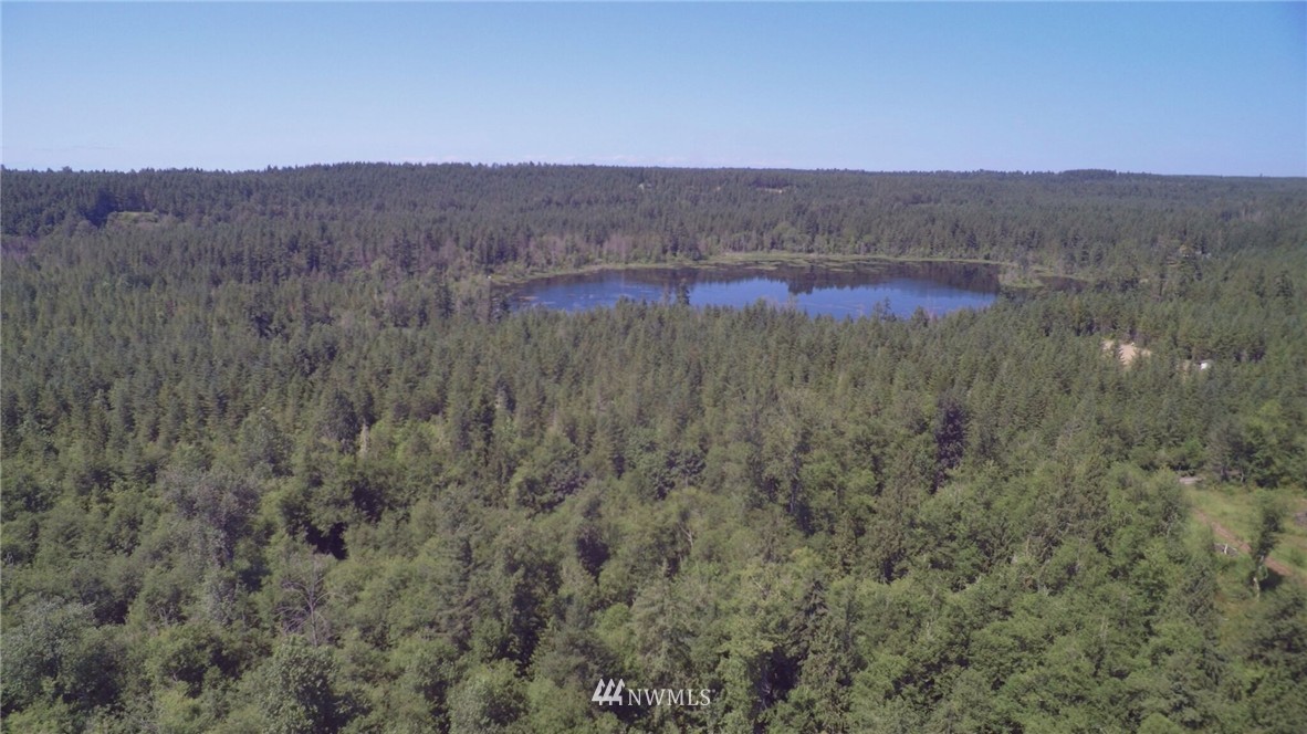 39601 Tanwax Road South Roy, WA 98580 - Photo 15 of 15
