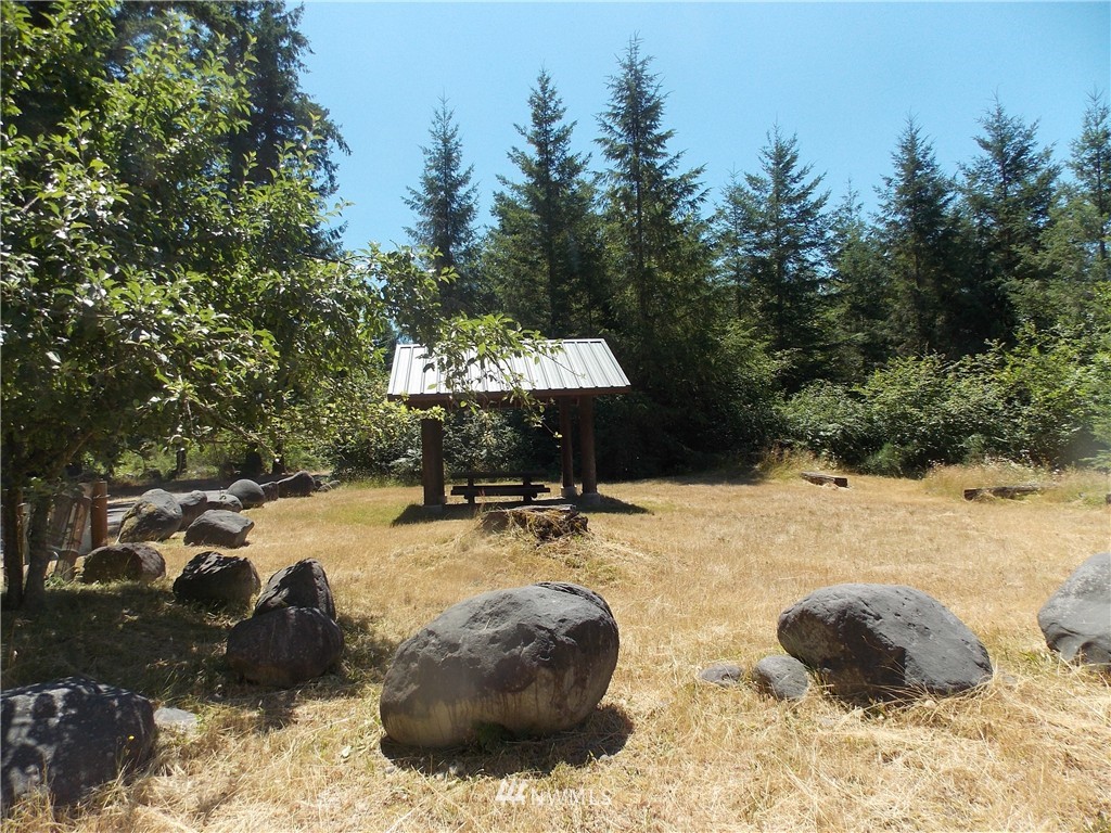 39601 Tanwax Road South Roy, WA 98580 - Photo 3 of 15