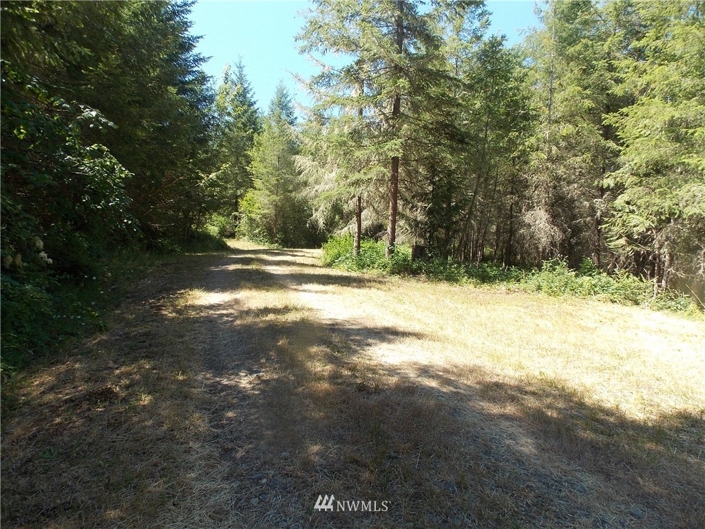 39601 Tanwax Road South Roy, WA 98580 - Photo 4 of 15