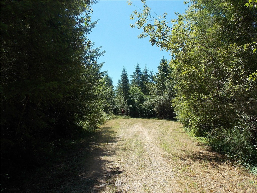 39601 Tanwax Road South Roy, WA 98580 - Photo 7 of 15