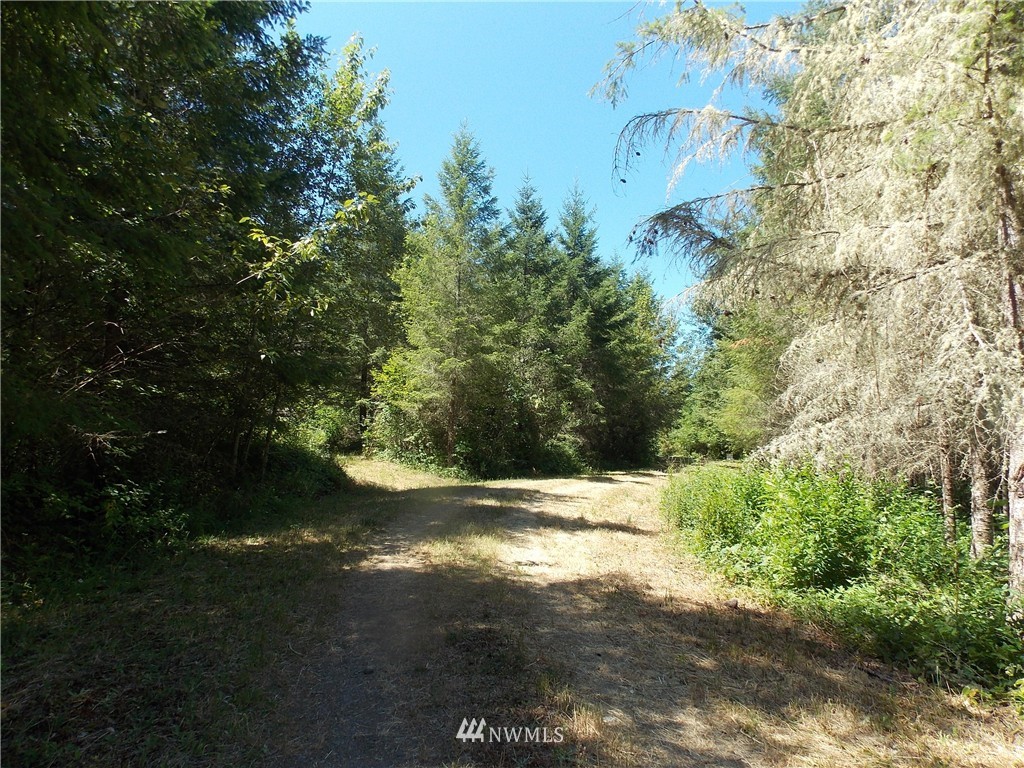 39601 Tanwax Road South Roy, WA 98580 - Photo 8 of 15