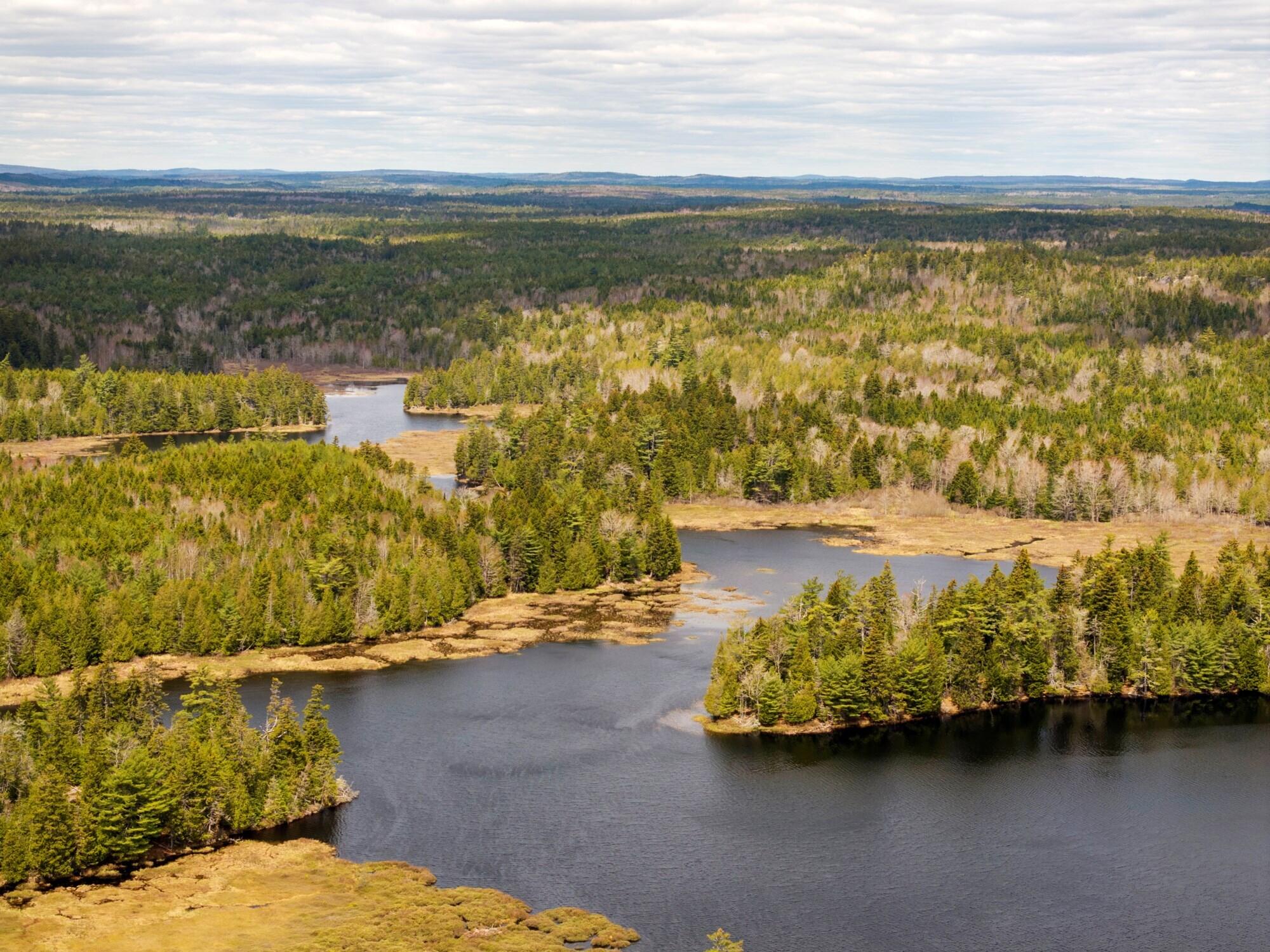 12 Map, Unit 7A Whiting, ME 04691 - Photo 3 of 12 LittleLakeLand_002