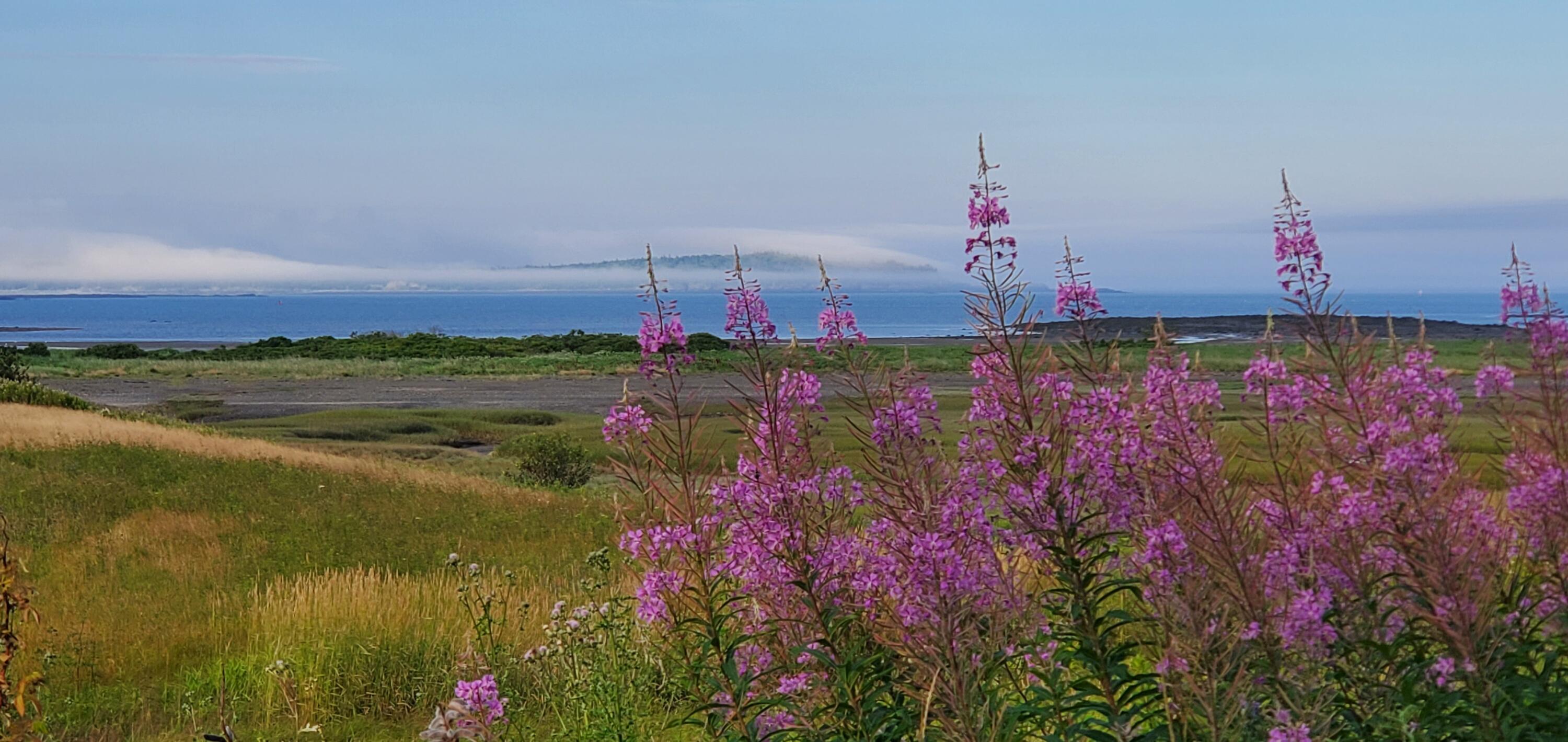 476 South Lubec Road Lubec, ME 04652 - Photo 24 of 40 476 South Lubec Rd.