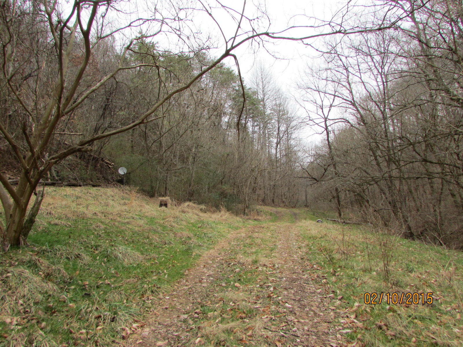 12720 Meadow Road West Greenback, TN 37742 - Photo 13 of 37 017.JPG