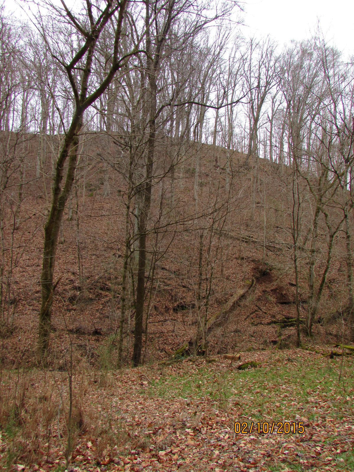 12720 Meadow Road West Greenback, TN 37742 - Photo 27 of 37 056.JPG