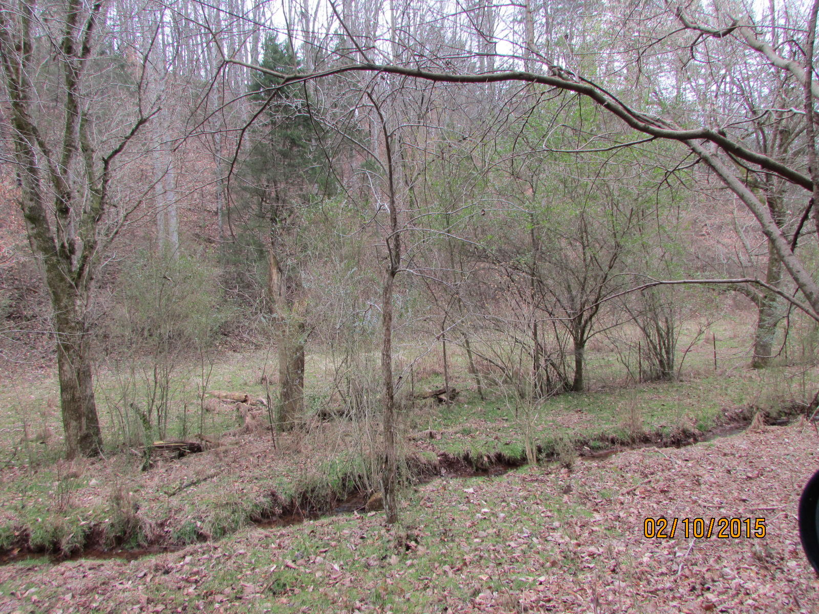 12720 Meadow Road West Greenback, TN 37742 - Photo 30 of 37 060.JPG