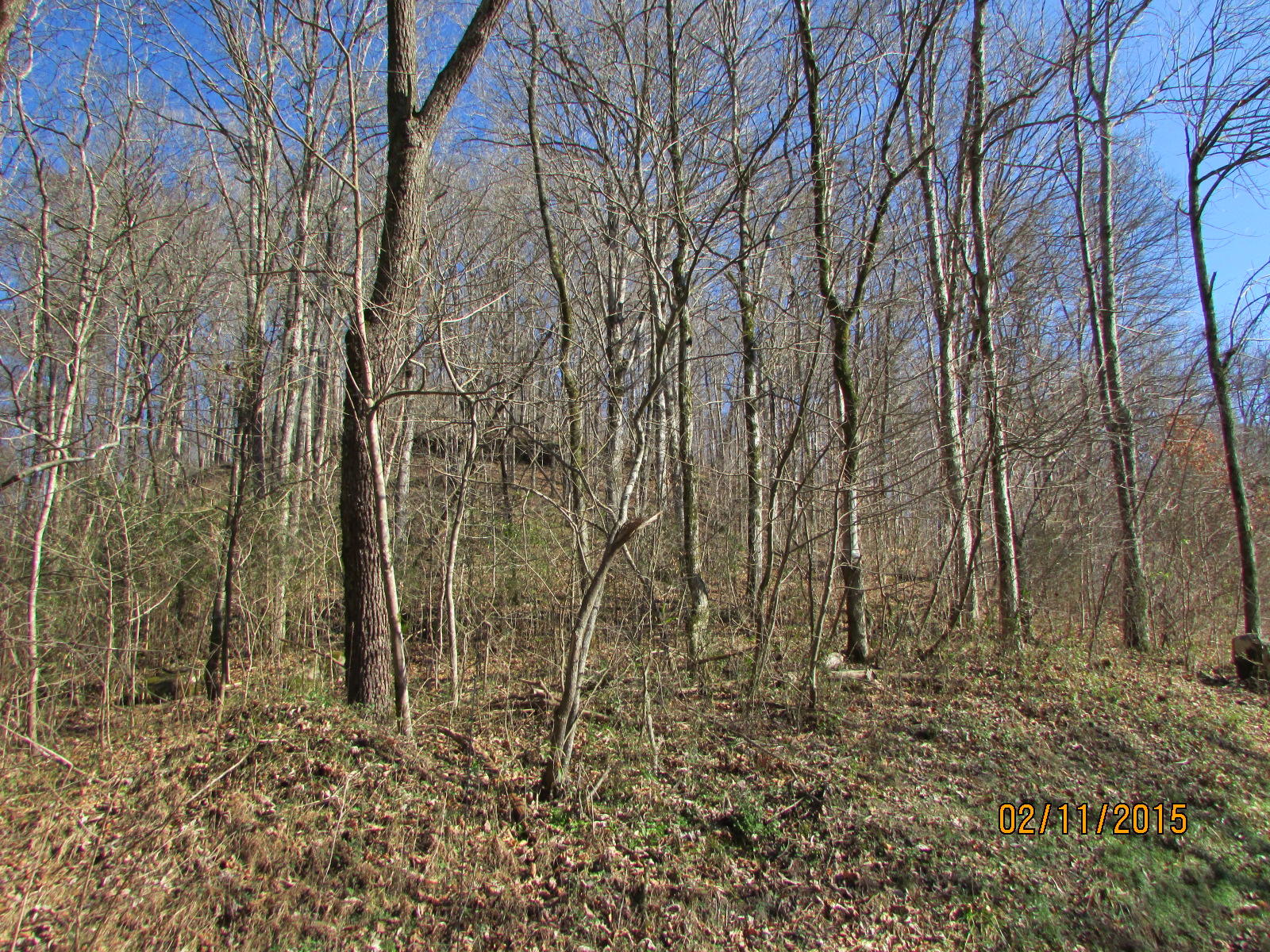 12720 Meadow Road West Greenback, TN 37742 - Photo 32 of 37 099.JPG