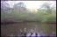 12720 Meadow Road West Greenback, TN 37742 - Photo 37 of 37 meadow pond.jpg
