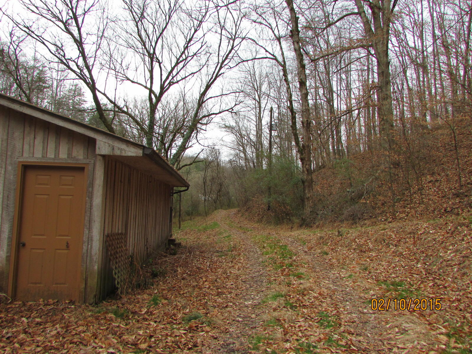12720 Meadow Road West Greenback, TN 37742 - Photo 5 of 37 007.JPG