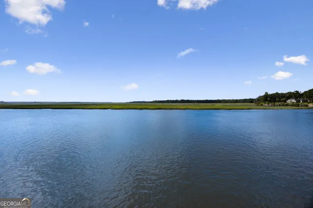 $945,000 | 628 London Hill Road West, Woodbine, GA 31569