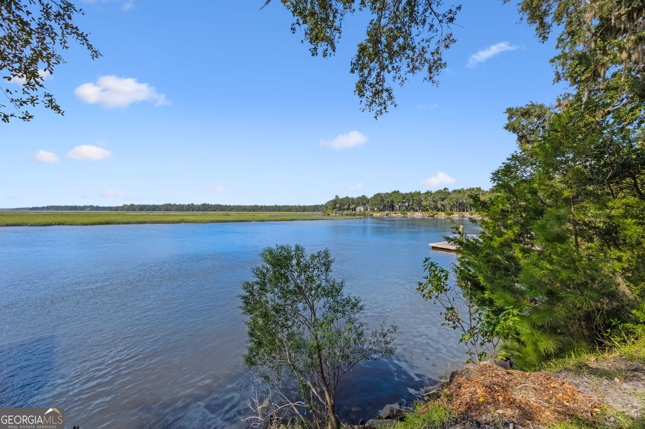 628 London Hill Road West Woodbine, GA 31569 - Photo 116 of 139