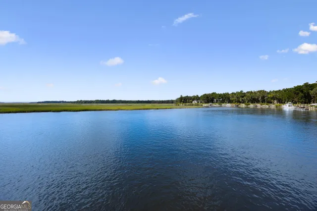 $945,000 | 628 London Hill Road West, Woodbine, GA 31569