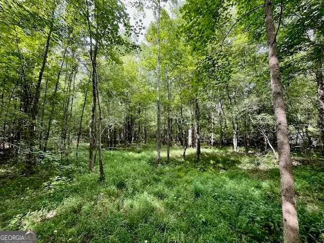 $952,150 | 0 Pilgrim Rest Church Road, Manchester, GA 31816