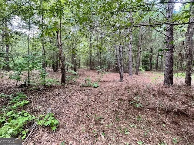 $952,150 | 0 Pilgrim Rest Church Road, Manchester, GA 31816