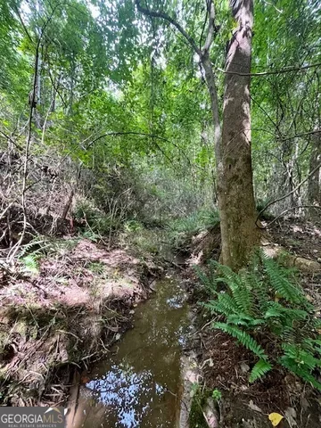 $952,150 | 0 Pilgrim Rest Church Road, Manchester, GA 31816