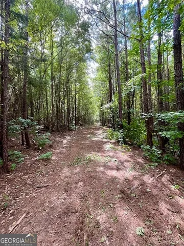 $952,150 | 0 Pilgrim Rest Church Road, Manchester, GA 31816