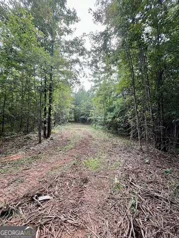 $952,150 | 0 Pilgrim Rest Church Road, Manchester, GA 31816