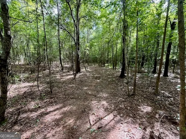 $952,150 | 0 Pilgrim Rest Church Road, Manchester, GA 31816