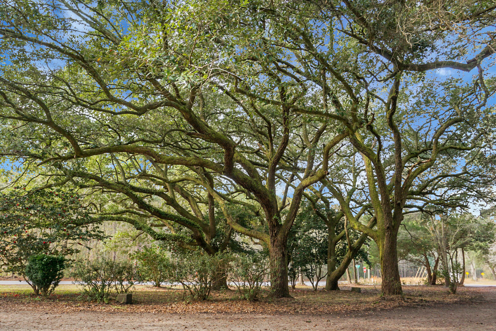 3206 Edenvale Road Johns Island, SC 29455 - Photo 14 of 50 DSC05797