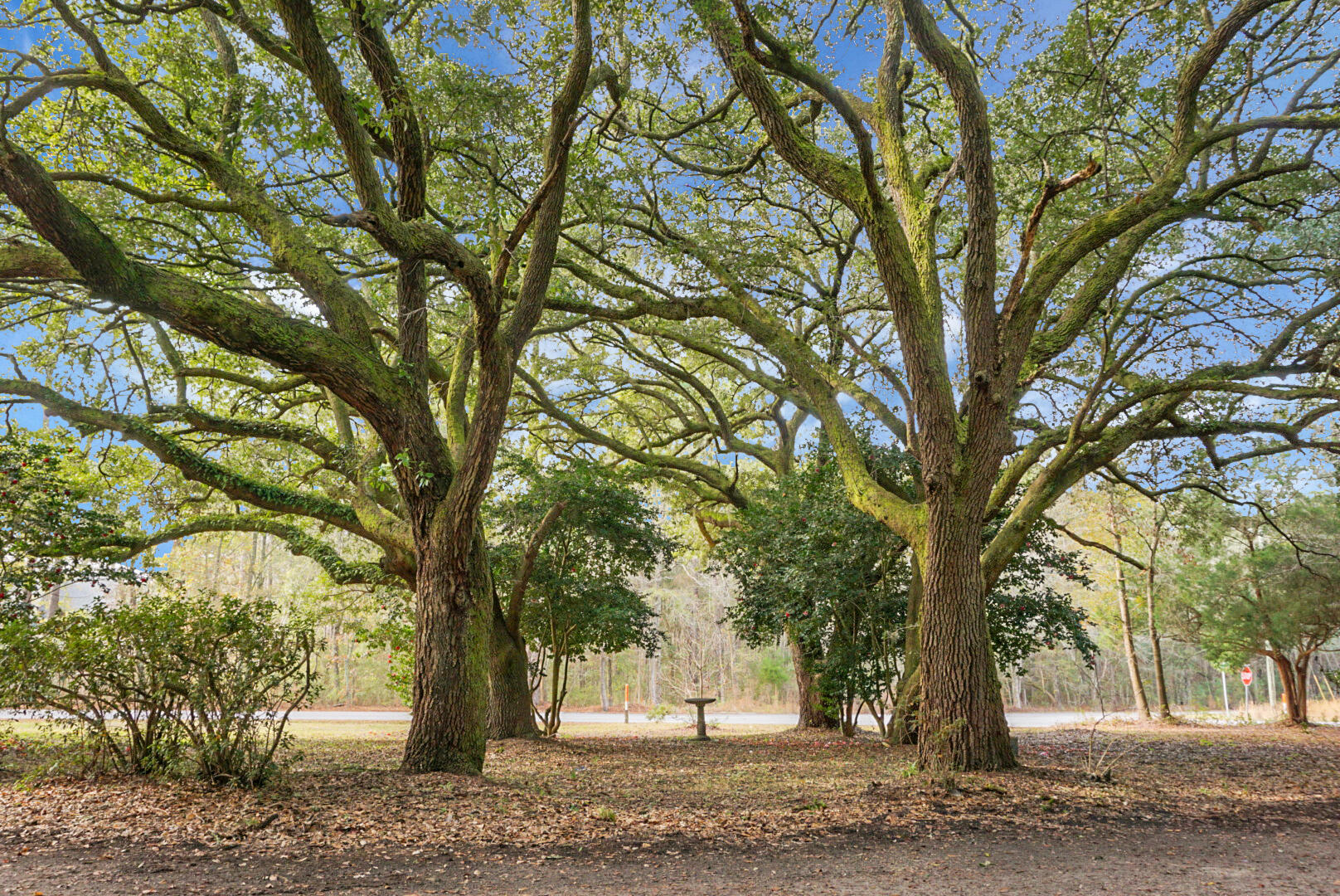 3206 Edenvale Road Johns Island, SC 29455 - Photo 15 of 50 DSC05798