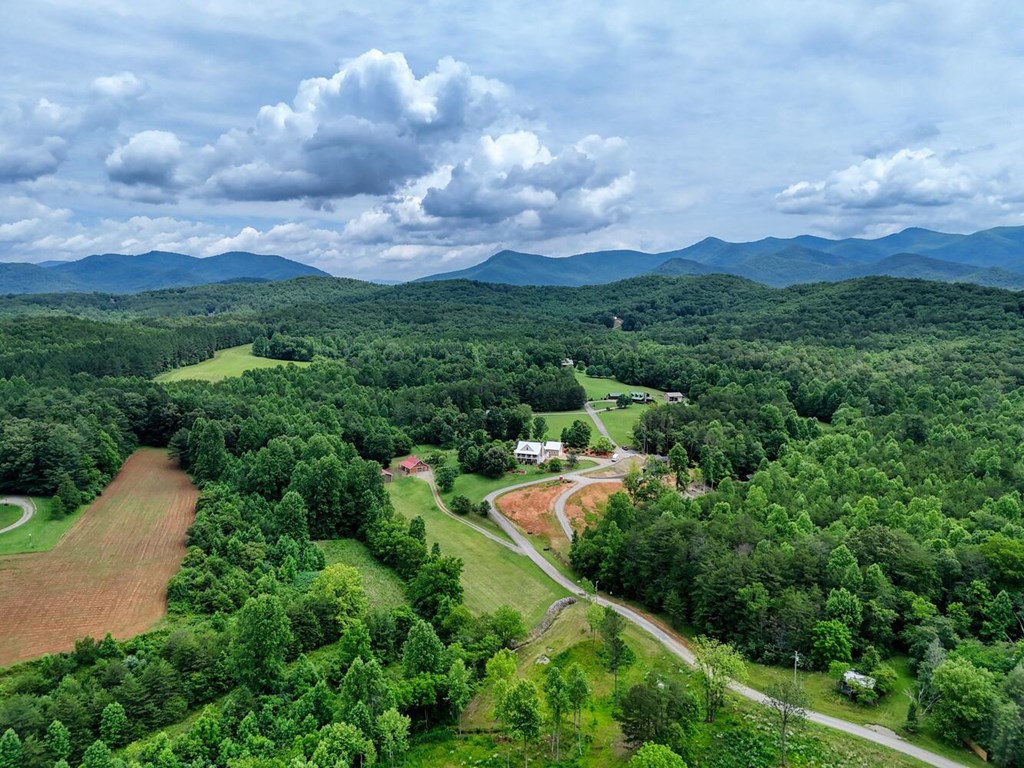 573 Shuler Road Blairsville, GA 30512 - Photo 84 of 85 Gallery Image 84