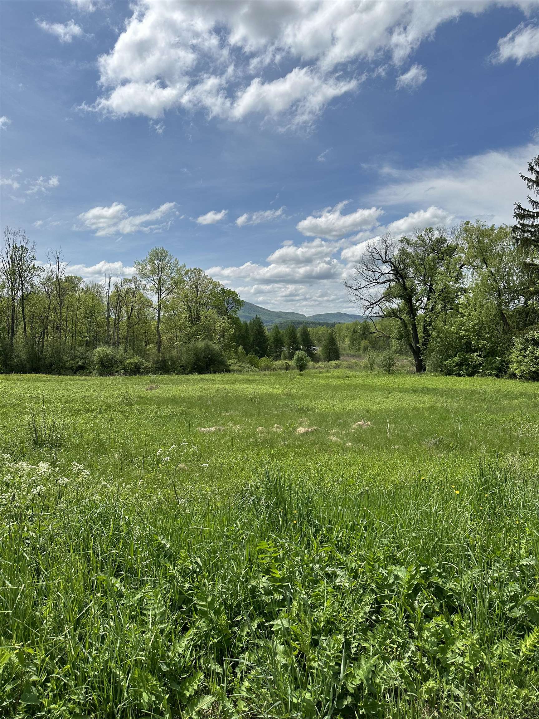 295-351 Overlea Road Bennington, VT 05257 - Photo 4 of 7