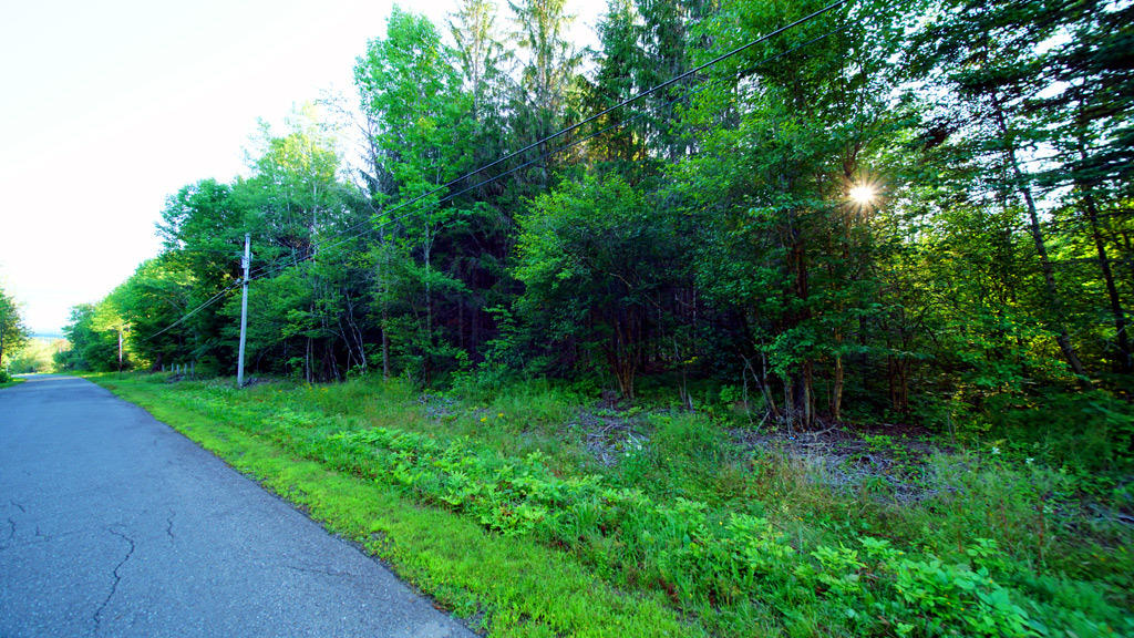 208 Springer Road Weston, ME 04424 - Photo 35 of 36 208-springer-rd-weston-29