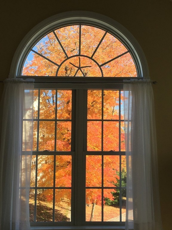 13 Queen Of Roses Lane, Unit 13 Uxbridge, MA 01569 - Photo 9 of 20 Gallery Image 9