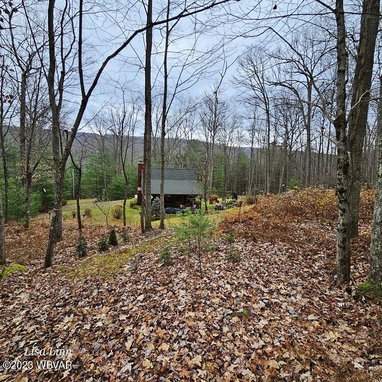 3779 Tamarack Road Renovo, PA 17764 - Photo 67 of 83 Gallery Image 67