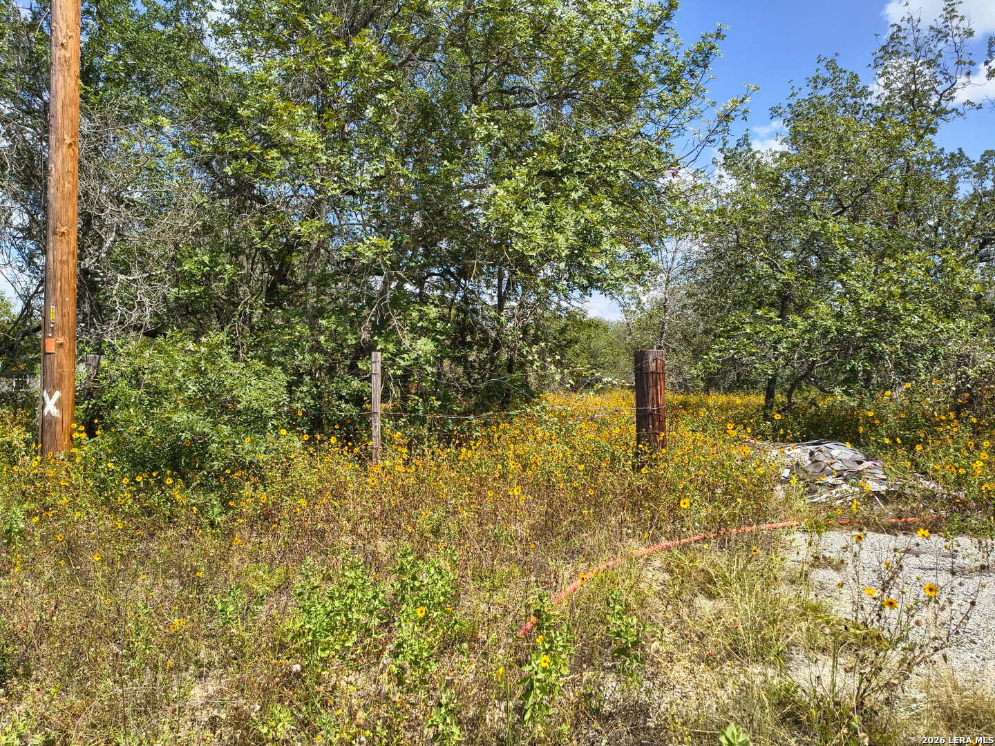 0 Priest Road Elmendorf, TX 78112 - Photo 5 of 7