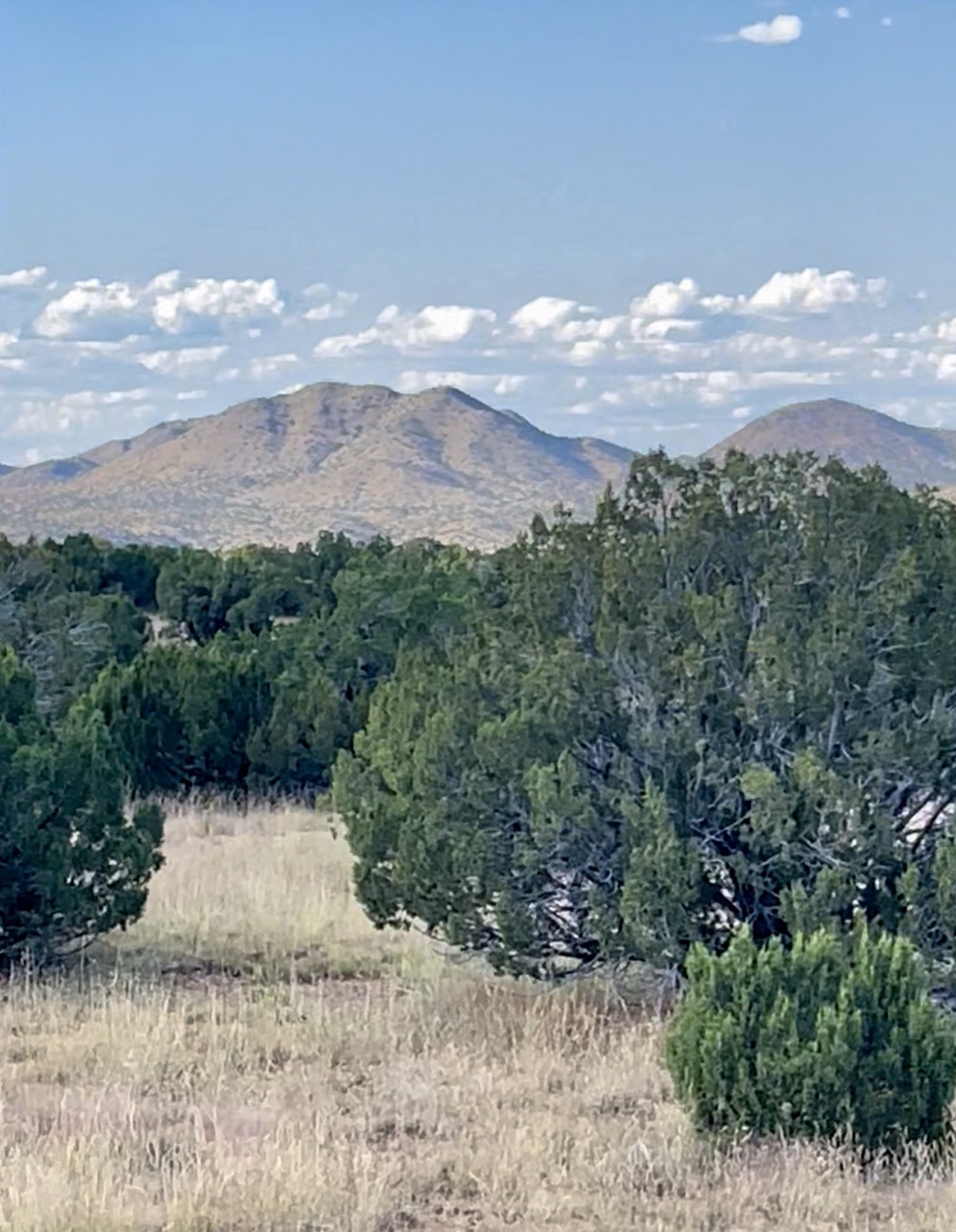 65 Grenfell Ranch Road Cerrillos, NM 87010 - Photo 36 of 46