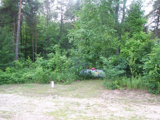 2853 South Nevins Road Sidney, MI 48885 - Photo 7 of 8 Additional Photo