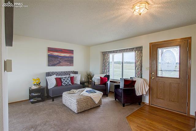 10290 Raygor Road Colorado Springs, CO 80908 - Photo 3 of 36