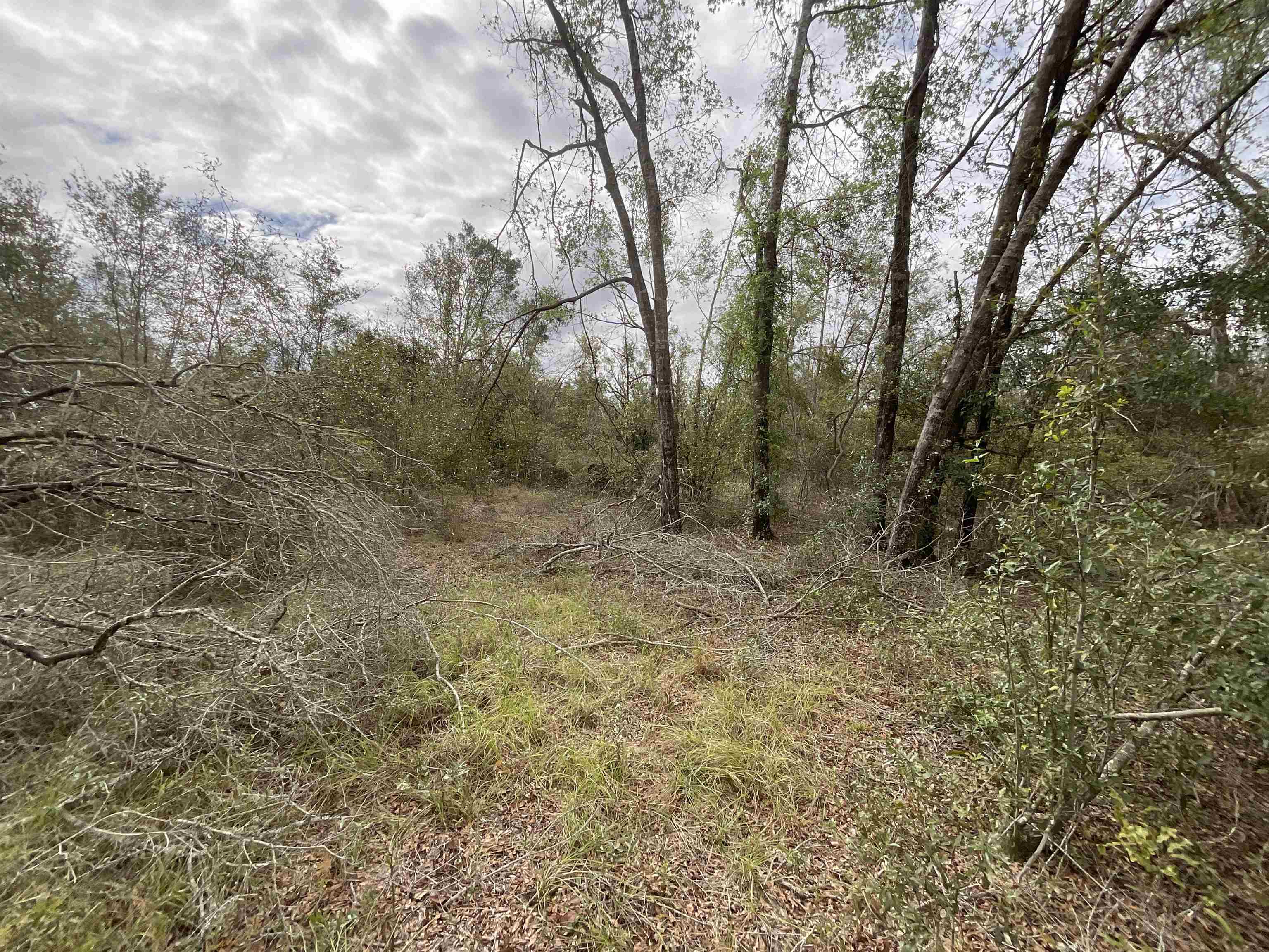 Vacant Southeast River Road Lee, FL 32059 - Photo 33 of 42 Gallery Image 33