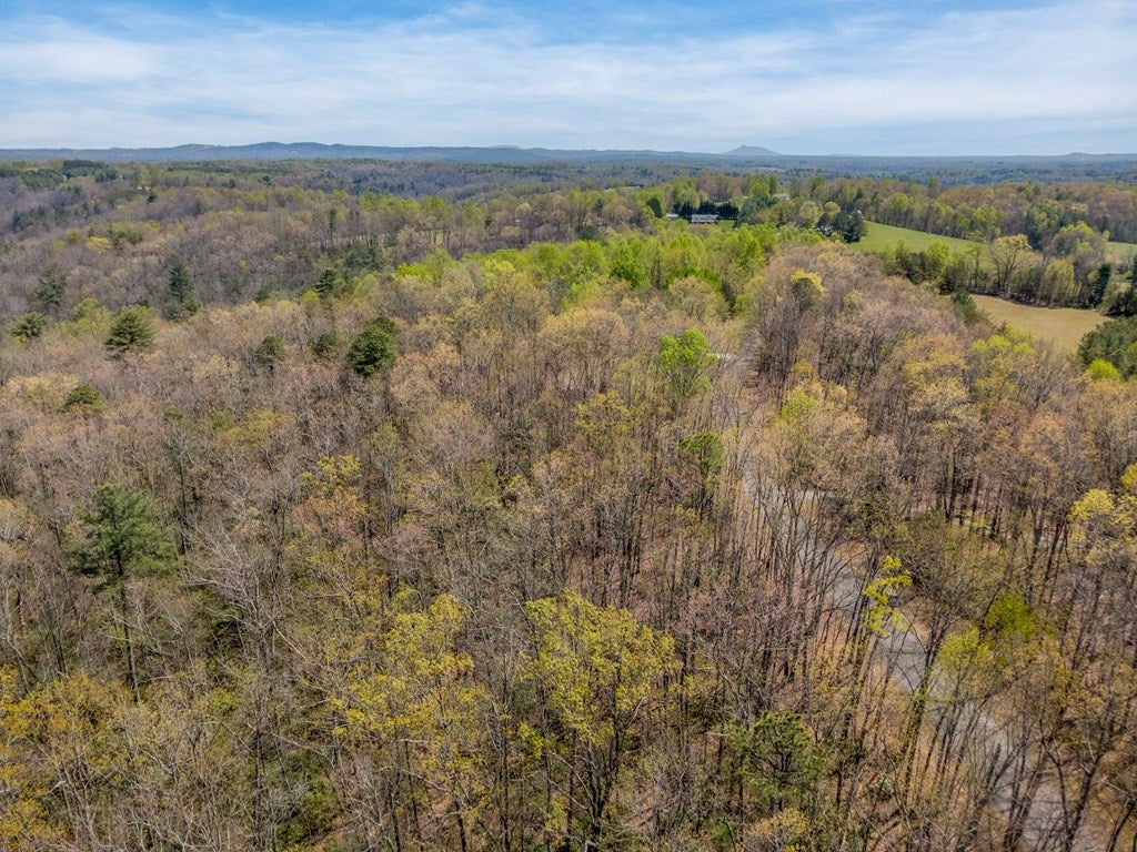 Tbd Meadowbrook Road, Unit 15481 Cana, VA 24317 - Photo 24 of 24 Gallery Image 24