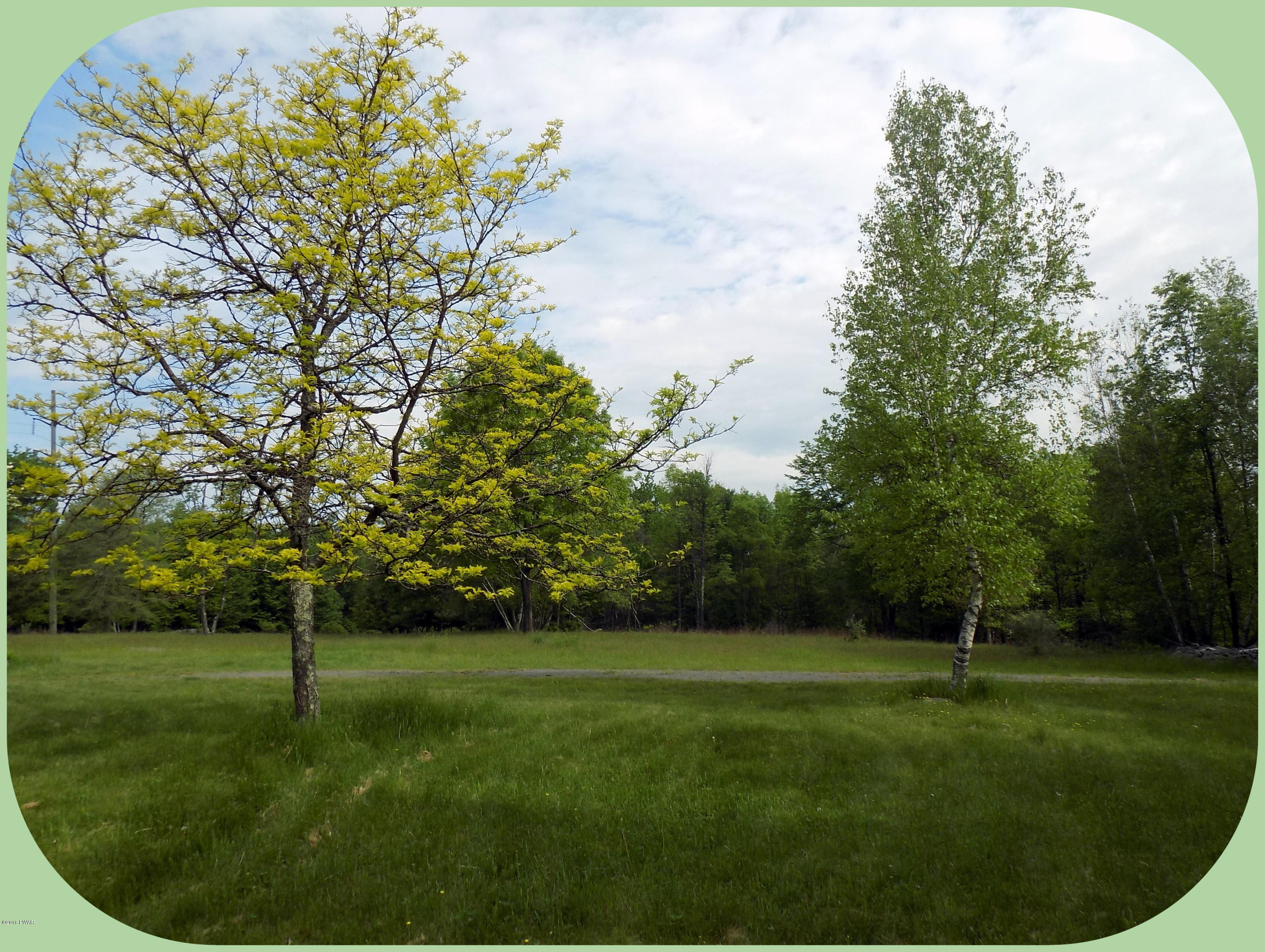141 Gilpin Road Newfoundland, PA 18445 - Photo 43 of 54 Perfect horse property