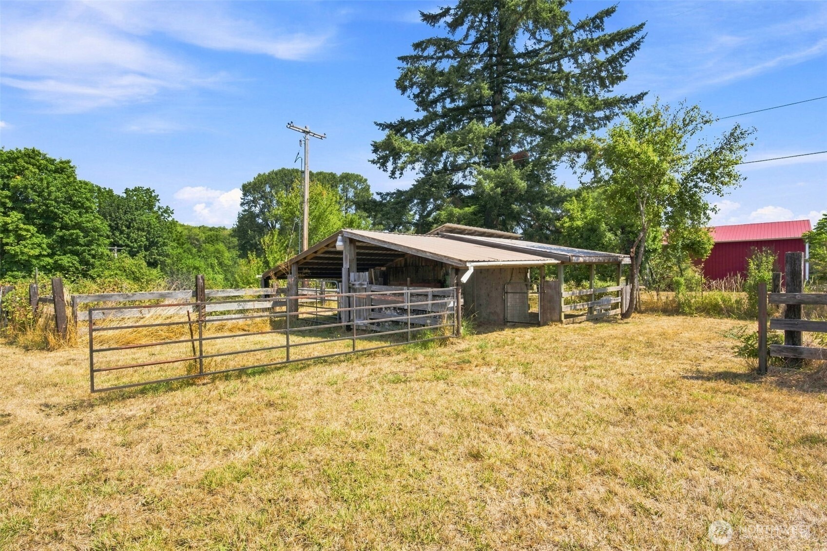 0 Cedar Doty, WA 98539 - Photo 19 of 25 Gallery Image 19