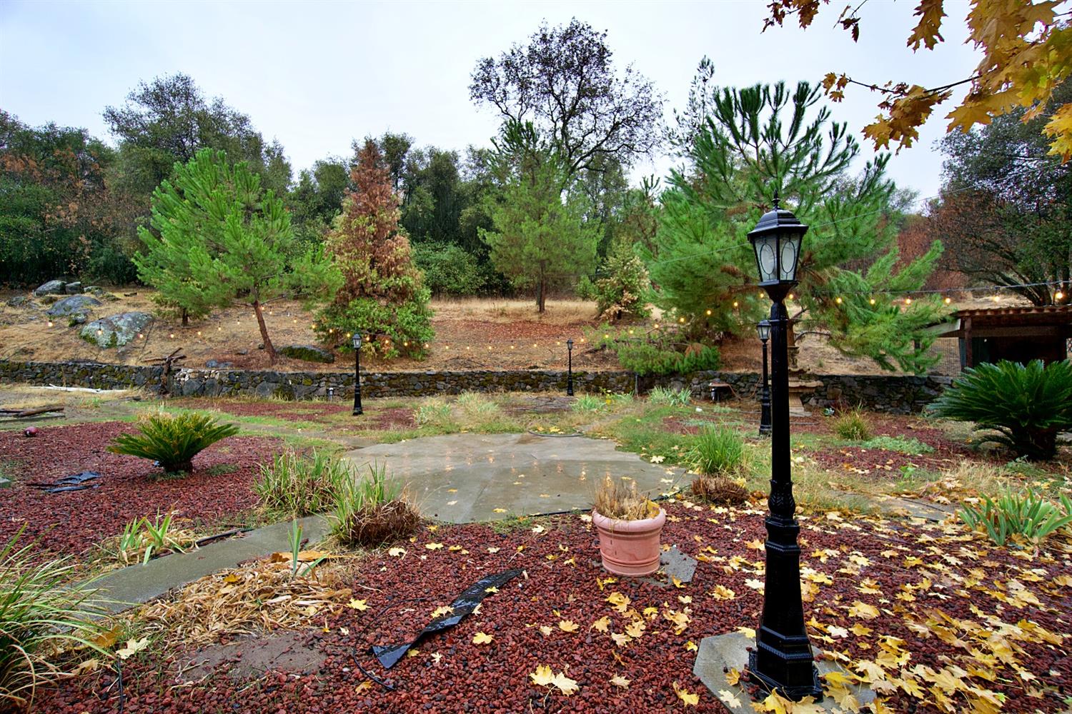 49437 Chuckwagon Road Squaw Valley, CA 93675 - Photo 26 of 30 Gallery Image 26
