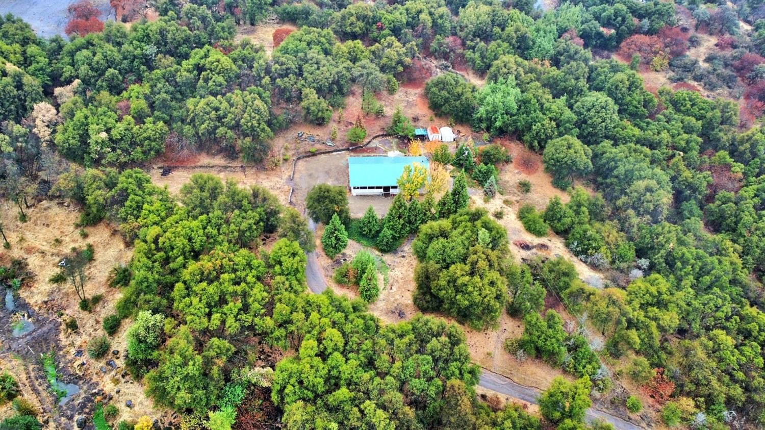 49437 Chuckwagon Road Squaw Valley, CA 93675 - Photo 4 of 30 Gallery Image 4