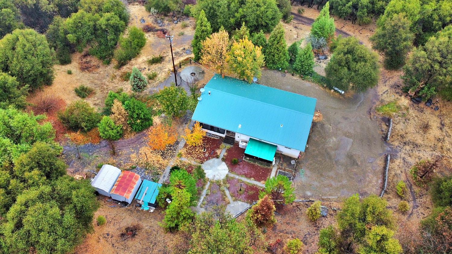 49437 Chuckwagon Road Squaw Valley, CA 93675 - Photo 8 of 30 Gallery Image 8