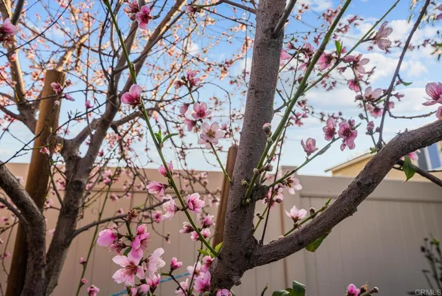 $699,999 | 28428 Fressia Drive, Winchester, CA 92596