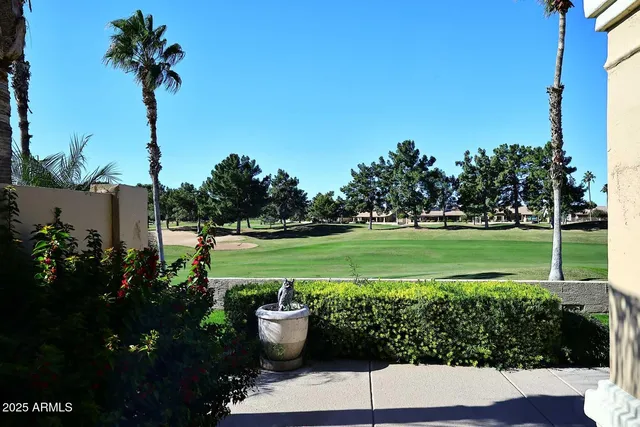 a view of a garden with an outdoor space
