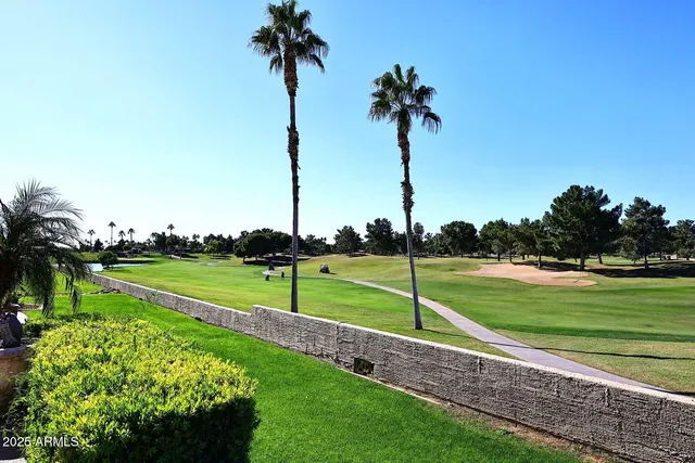 a view of a park and trees