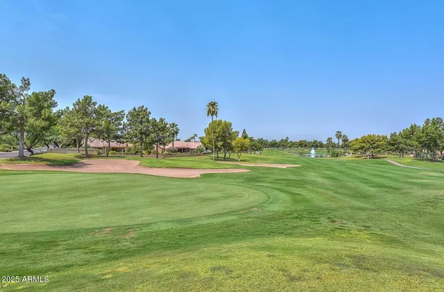 a view of a park with large trees